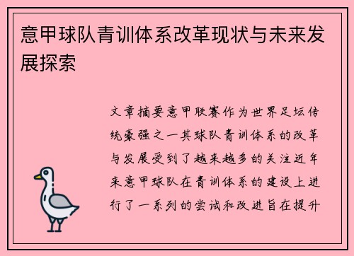 意甲球队青训体系改革现状与未来发展探索